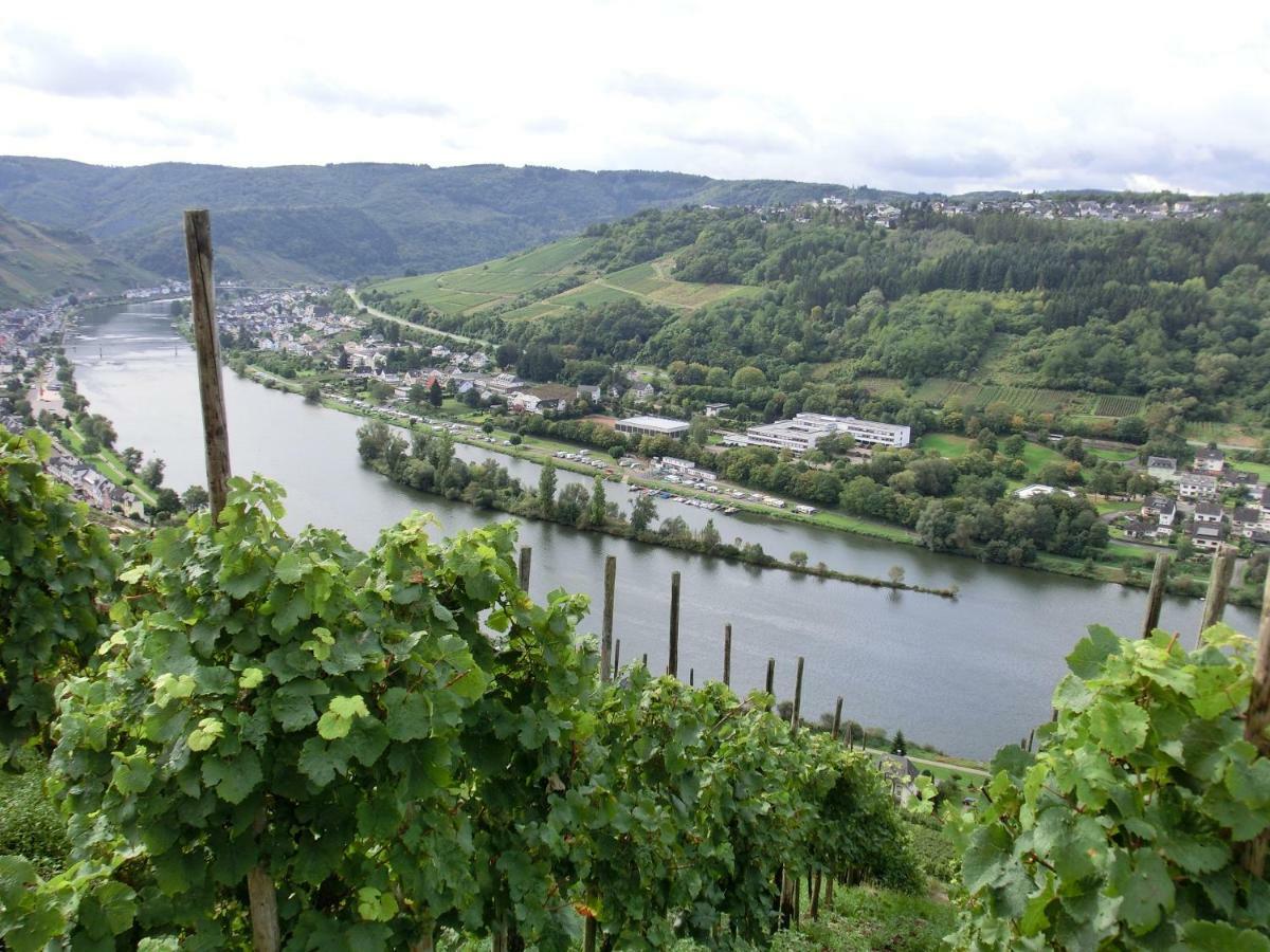 Beim Winzer Apartment Zell an der Mosel Exterior photo